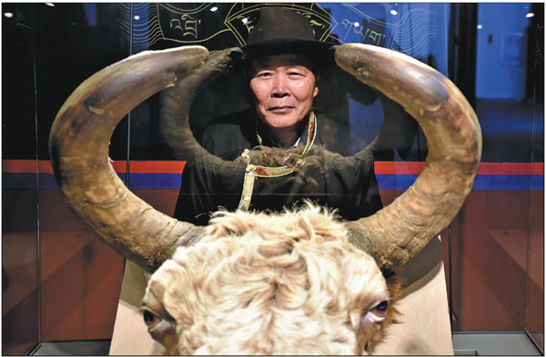 Yak Museum gives curator lots to talk about
