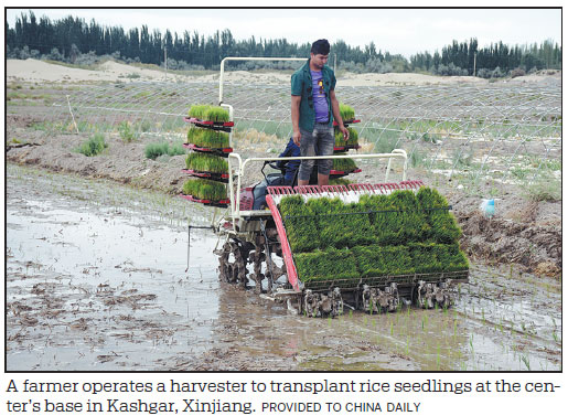 New rice strain set to boost food security