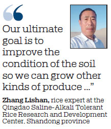 New rice strain set to boost food security