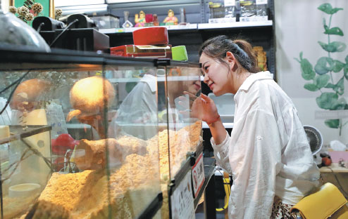 Exotic species get claws into pet market