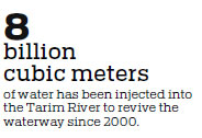 Xinjiang discharges reservoir water in another effort to revive Tarim River