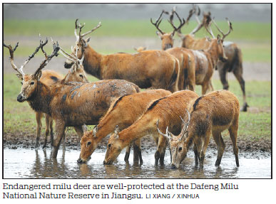 From a rocky road to scenic tourism