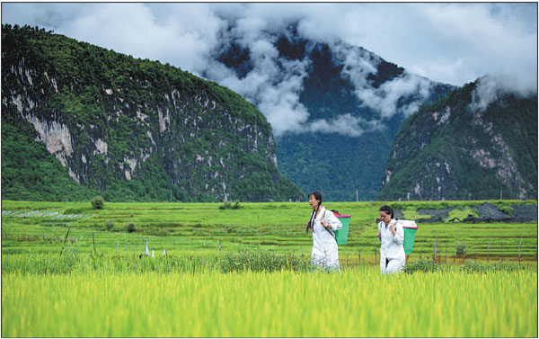 Healing the sick in the mountains