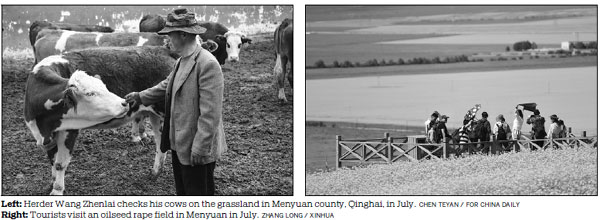 Grassland restoration tackles the root of the problem