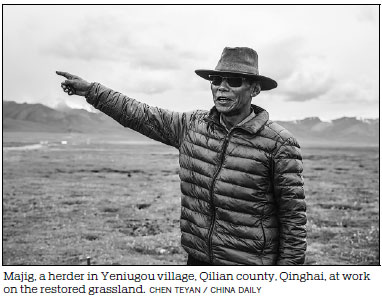 Rejuvenation promotes greater diversity across mountain slopes