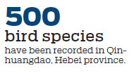 Wetland becomes more habitable place for birds