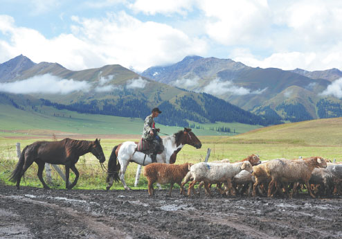 Herders revel in tradition and tourism