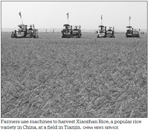 Traditional rice brands get a fresh lease of life