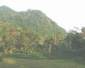 World Heritage Sites of Sri Lanka