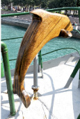 Rainbow Warrior