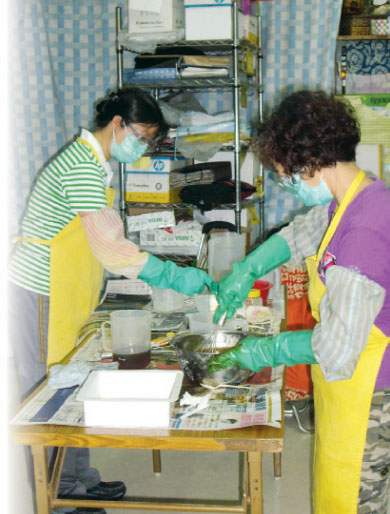 Finding cures in social economy
