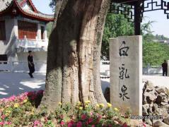 White Milk Spring (Bengbu)