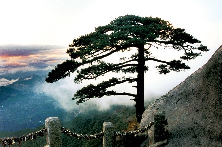 Tianzhu Mountain (Anqing)