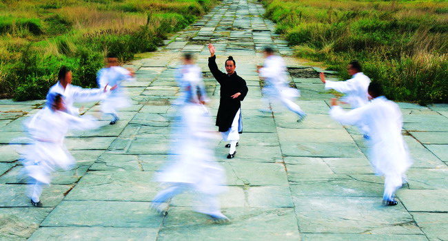 Wudang Kungfu overview