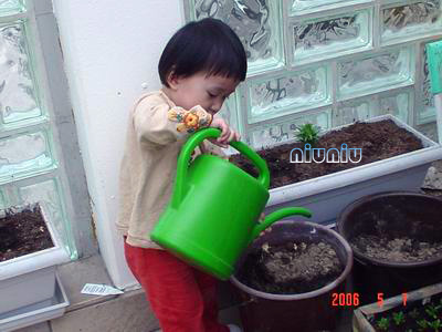 德国“小妞”的幸福生活