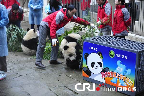 10只大熊猫今日启程赴上海助阵世博会