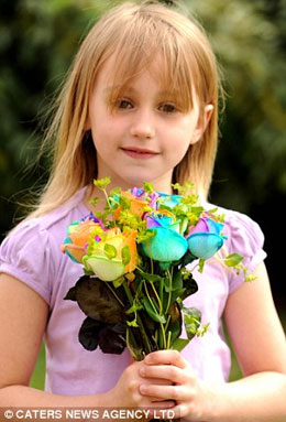 荷兰花商培育“彩虹玫瑰” 一支七色完美祝福