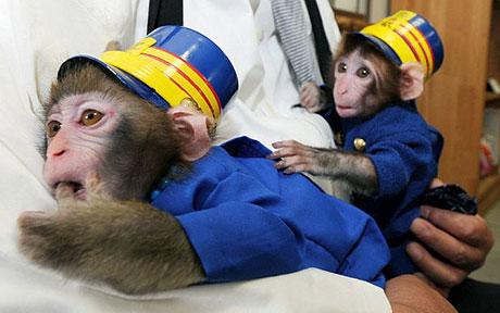 日火车站为招揽乘客想妙招 两猴子穿衣戴帽当站长