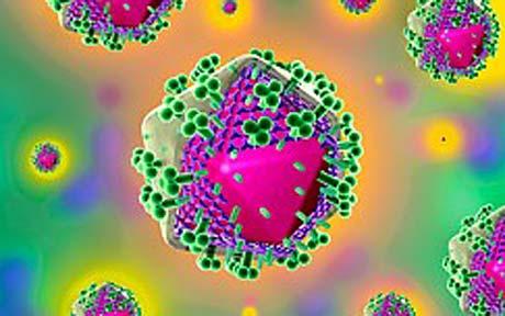 西班牙称研制出艾滋病疫苗 能使病情减轻类似疱疹