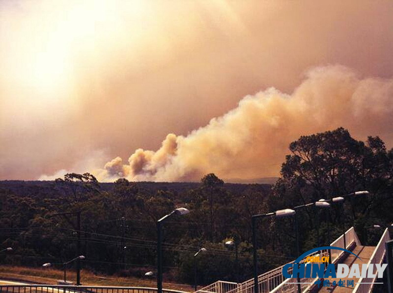 澳大利亚新州山火肆虐 悉尼成“雾都”