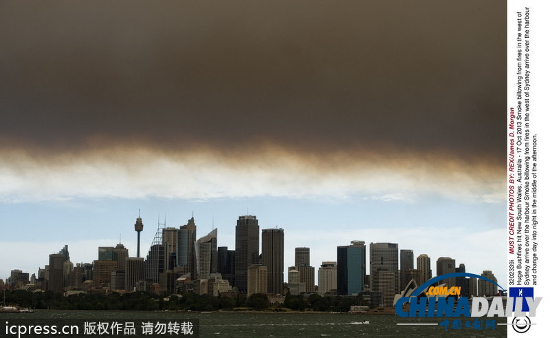 澳大利亚新州山火肆虐 悉尼成“雾都”