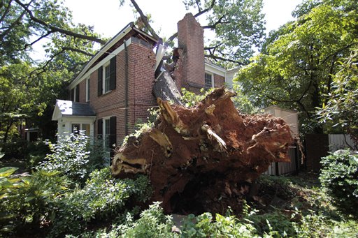 华盛顿遭暴风雨袭击 4人丧生43万户用电受影响