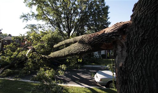 华盛顿遭暴风雨袭击 4人丧生43万户用电受影响