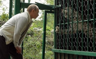 俄总理普京在西伯利亚看望索契冬奥吉祥物雪豹