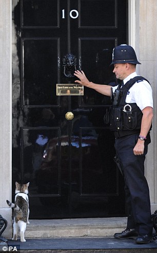 英“第一猫”同警卫“躲猫猫” 被一脚“踢”进首相府