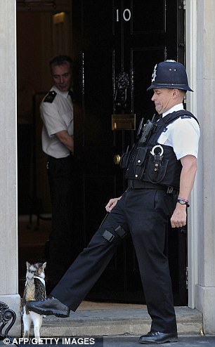 英“第一猫”同警卫“躲猫猫” 被一脚“踢”进首相府