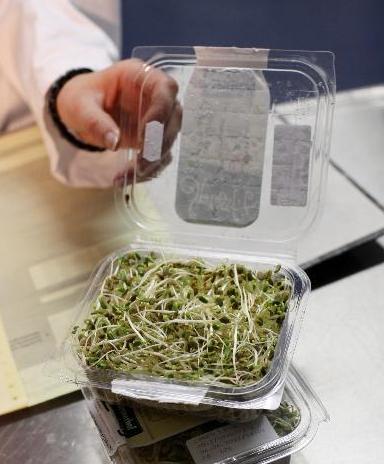 德国称基本确认“毒豆芽”是大肠杆菌疫情元凶