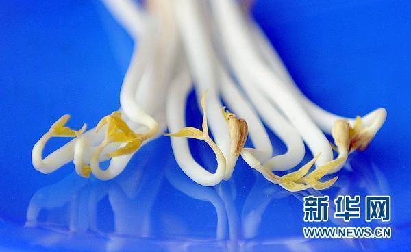 德国称基本确认“毒豆芽”是大肠杆菌疫情元凶