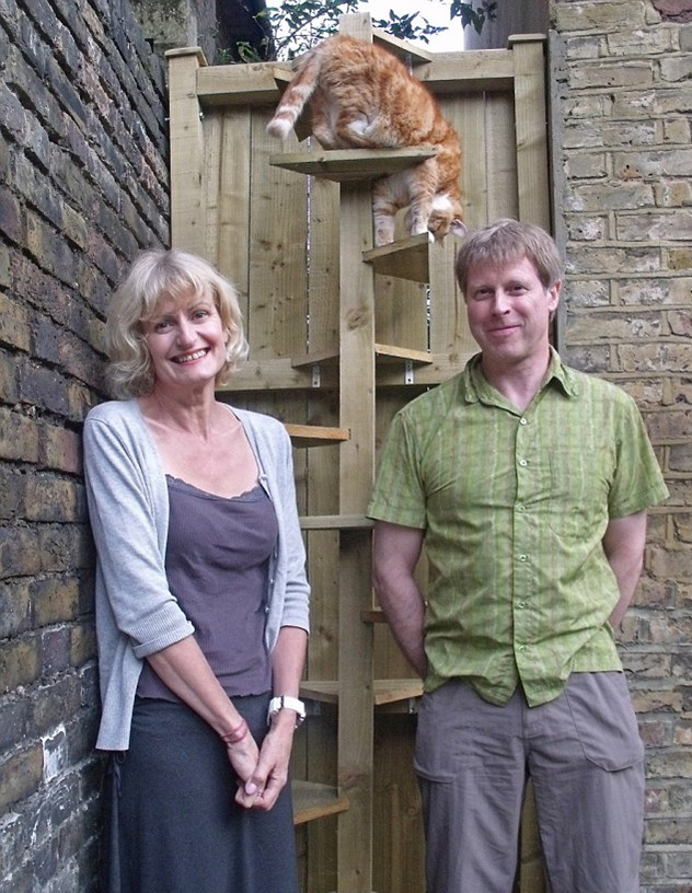 爱猫罹患关节炎 英国猫主打造特制楼梯便利出行