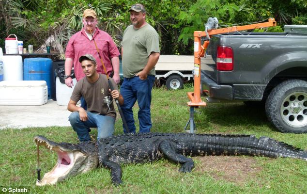 美国瘦弱少年用一根钓鱼线捕获3.6米长逾700斤鳄鱼