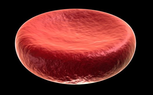法国科学家首创 干细胞人造血成功输入人体