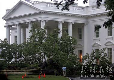 华盛顿暴雨引发洪水 白宫百年老树倒下布什出行难