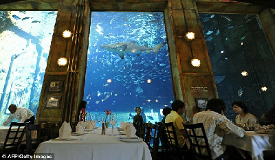 南非神秘“沉船餐厅”让食客在海底世界享受美味