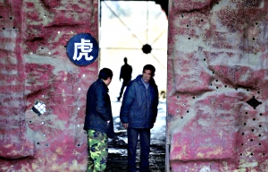 沈阳动物园老虎饿死幕后:园区被抵押贷款建球场