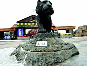 沈阳动物园老虎饿死幕后:园区被抵押贷款建球场