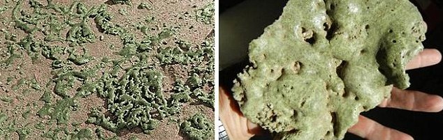 1.2万年前岩石中存在熔化玻璃 或成史前人类动物灭绝原因新证