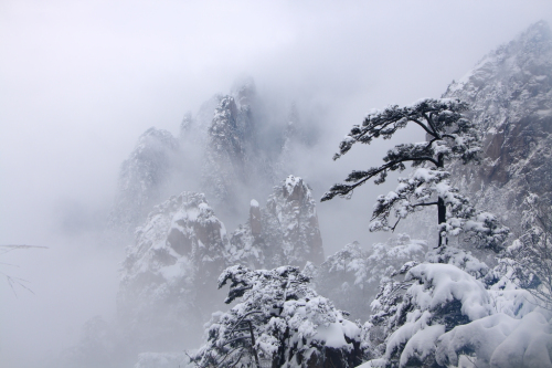 黄山:不容错过的白色浪漫