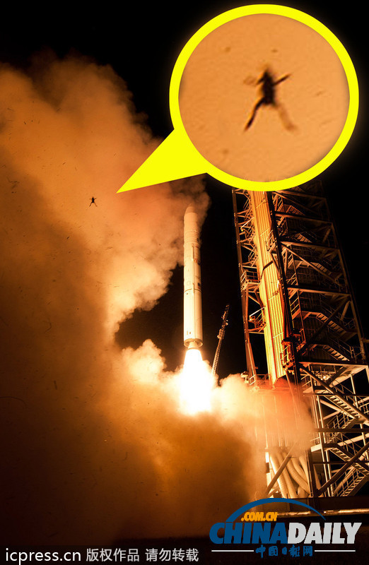 美国火箭发射气流将青蛙吹上天