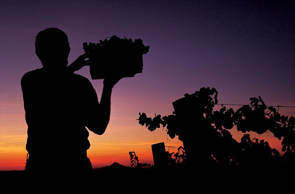 再见夕阳 全球十大经典夕阳拍摄地