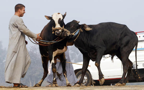 Muslims to celebrate Eid al-Adha