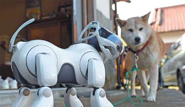Robotic dogs get fancy farewells