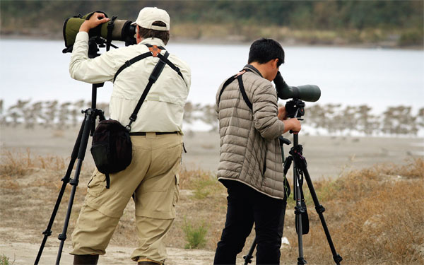Bird-watchers turn hobby into a citizen science