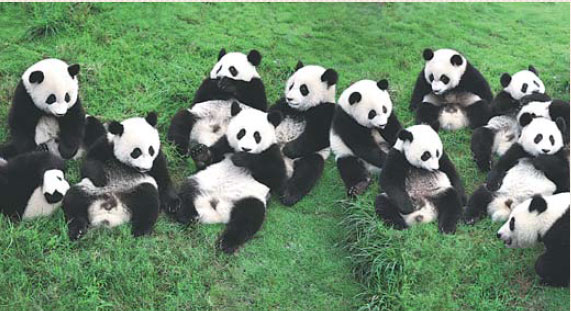 kung fu panda pornó videók ingyenes tini bi szex