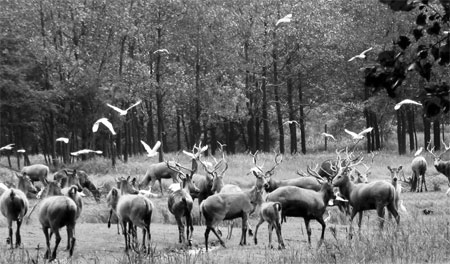 Areas take an extreme approach to relocation