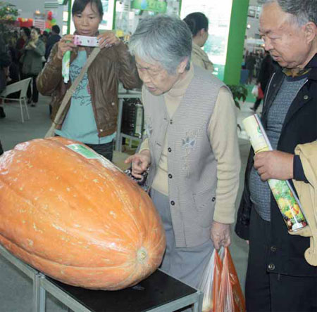 Agriculture expo brings rich yields