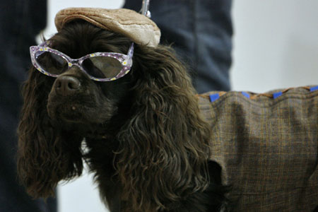 Pet Expo 2007